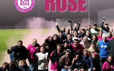 🩷 OCTOBRE ROSE 🩷